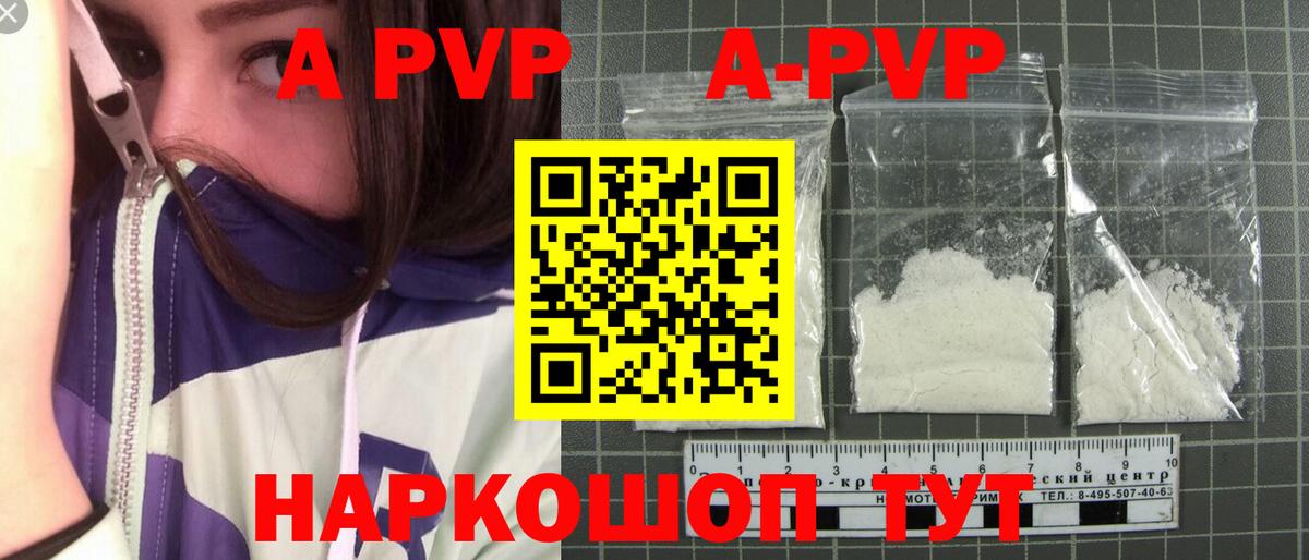 A PVP СК Краснознаменск