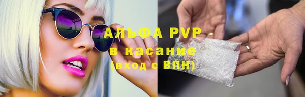 гидропоника Алзамай