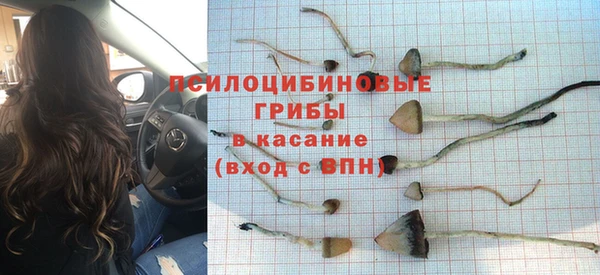 гидра Алексин