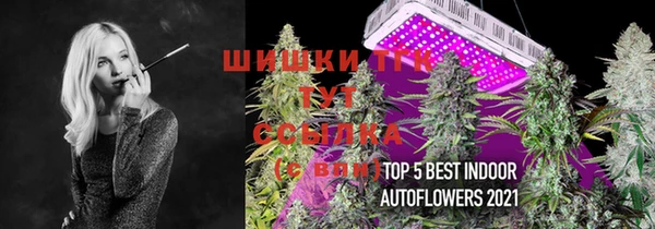 гидра Алексин