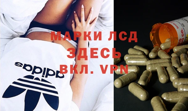 гидропоника Алзамай
