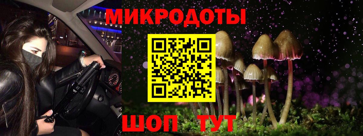 Галлюциногенные грибы мицелий Краснознаменск