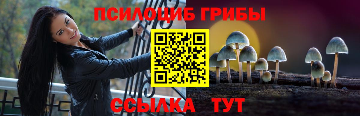 Краснознаменск  Галлюциногенные грибы ЛСД  Галлюциногенные грибы GOLDEN TEACHER  Вход с VPN 